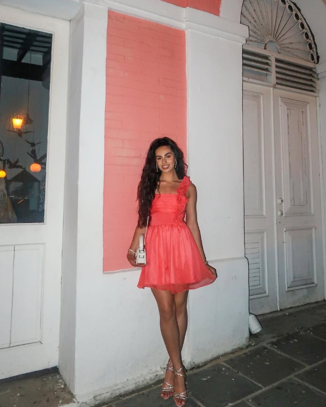 Pink A Line Spaghetti Strap Tulle Short Homecoming Dress Birthday Dress DP1656