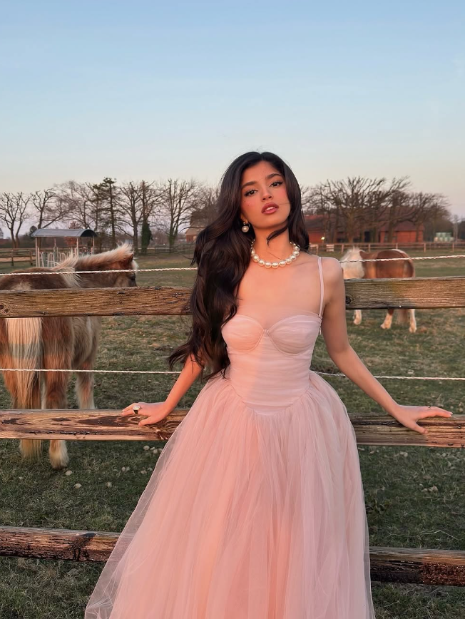 Princess A Line Spaghetti Strap Pink Tulle Prom Dress Party Dress 16th Birthday Dress DP3489
