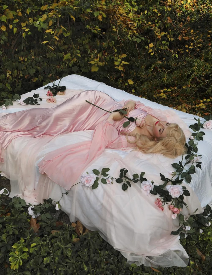 Sleeping Beauty A Line Long Sleeve Pink Chiffon Satin Prom Dress 18th Birthday Dress DP3385