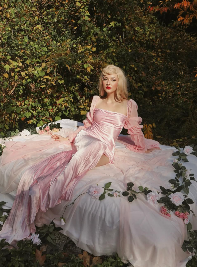 Sleeping Beauty A Line Long Sleeve Pink Chiffon Satin Prom Dress 18th Birthday Dress DP3385