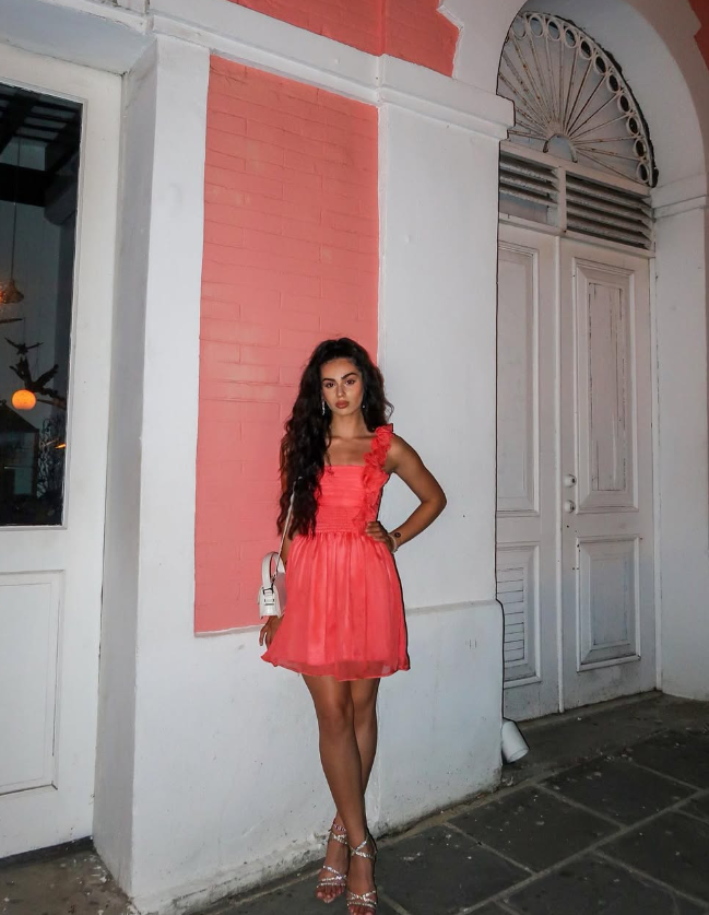 Pink A Line Spaghetti Strap Tulle Short Homecoming Dress Birthday Dress DP1656