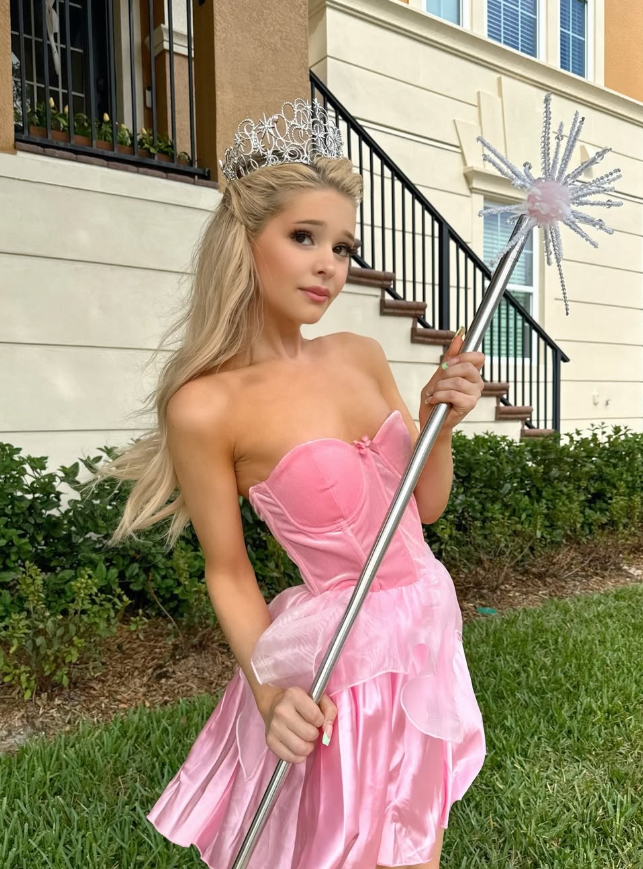 Pink Fairy A Line Sweetheart Neck Velvet Organza Satin Homecoming Dress 16TH Birthday Dress DP3199