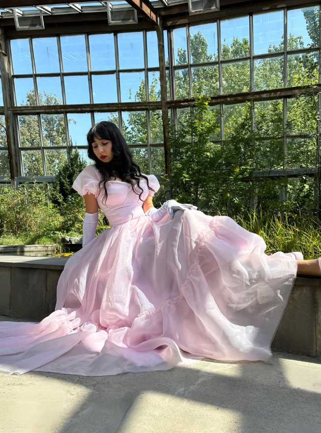 Princess A Line Puff Sleeve Light Pink Tulle Long Prom Dress Birthday Dress DP1679