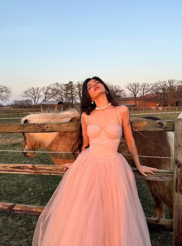 Princess A Line Spaghetti Strap Pink Tulle Prom Dress Party Dress 16th Birthday Dress DP3489