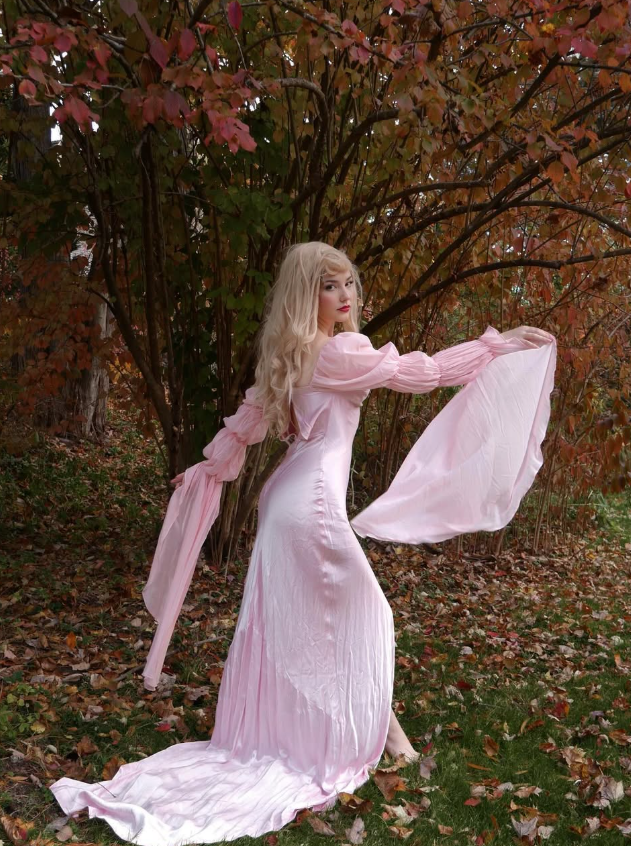 Sleeping Beauty A Line Long Sleeve Pink Chiffon Satin Prom Dress 18th Birthday Dress DP3385