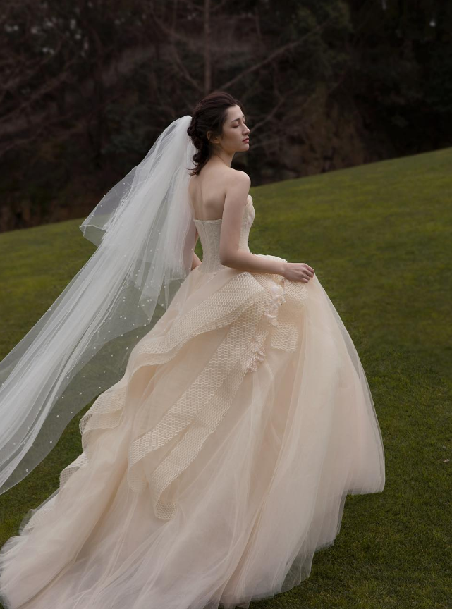 Luxury Ball Gown Strapless Champagne Tulle Long Wedding Dress DP1563