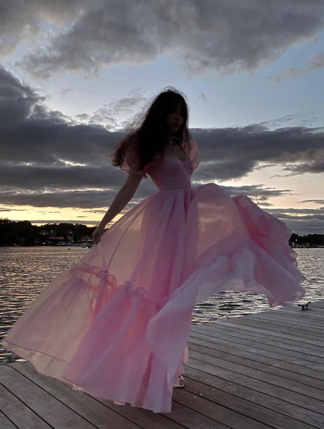 Princess A Line Puff Pink Organza Long Prom Dress 18th Birthday Dress Outfits DP3386