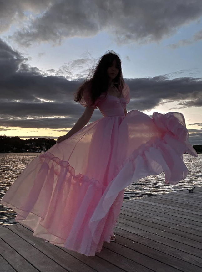 Princess A Line Puff Pink Organza Long Prom Dress 18th Birthday Dress Outfits DP3386