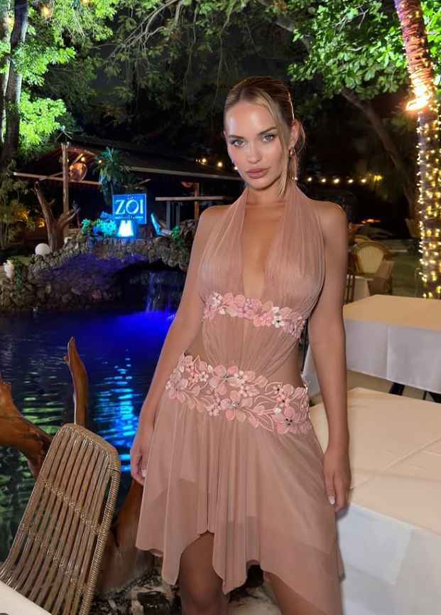 Stunning A Line V Neck Floral Brown Tulle Short Homecoming Dress Party Dress Outfit DP3534