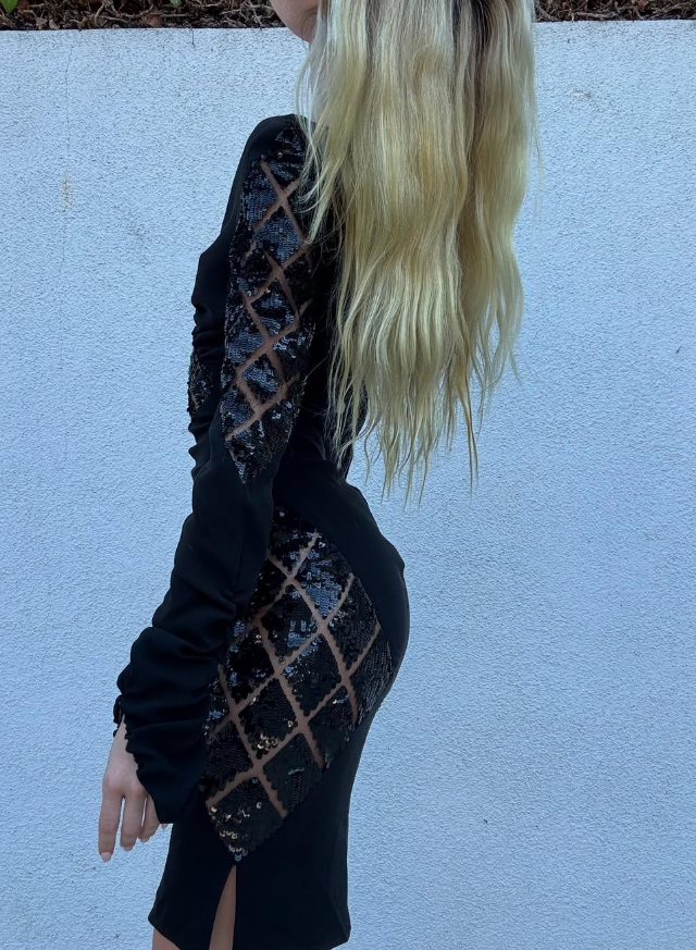Elegant Sheath V Neck Long Sleeve Black Sequin Satin Prom Dress Evening Dress DP2083