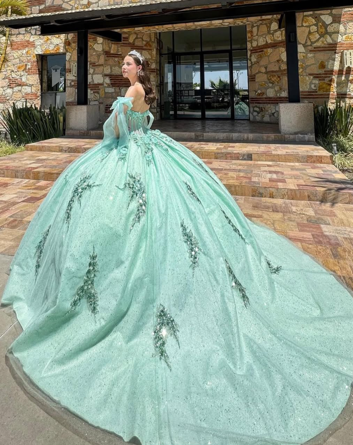 Charming Green Flower Appliques Sequin Tulle Ball Gown Sweet 16 Dress Quinceanera Dress DP3025