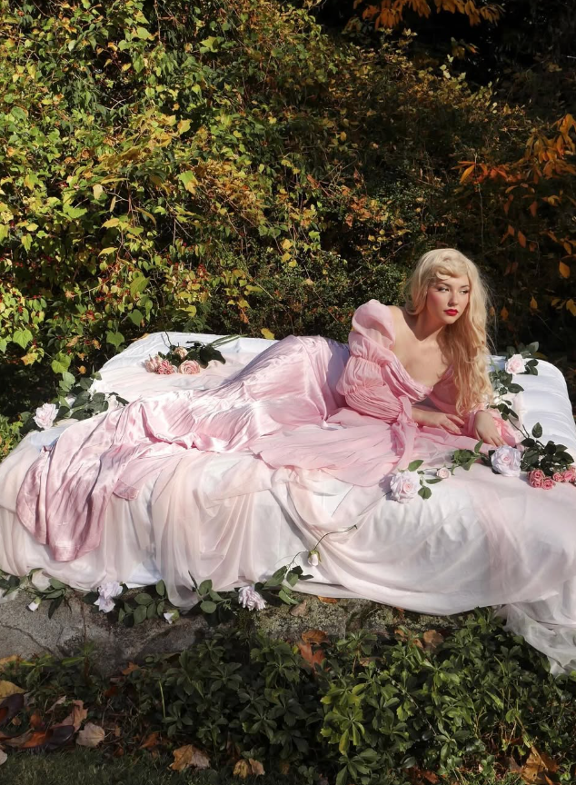 Sleeping Beauty A Line Long Sleeve Pink Chiffon Satin Prom Dress 18th Birthday Dress DP3385