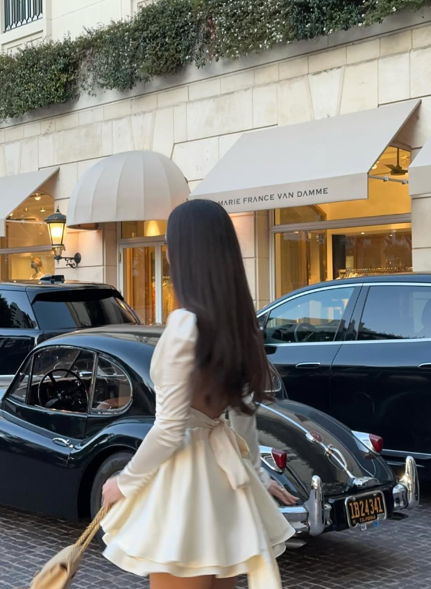 Apricot Backless A Line Long Sleeve Satin Homecoming Dress Cocktail Dress Outfits DP3412