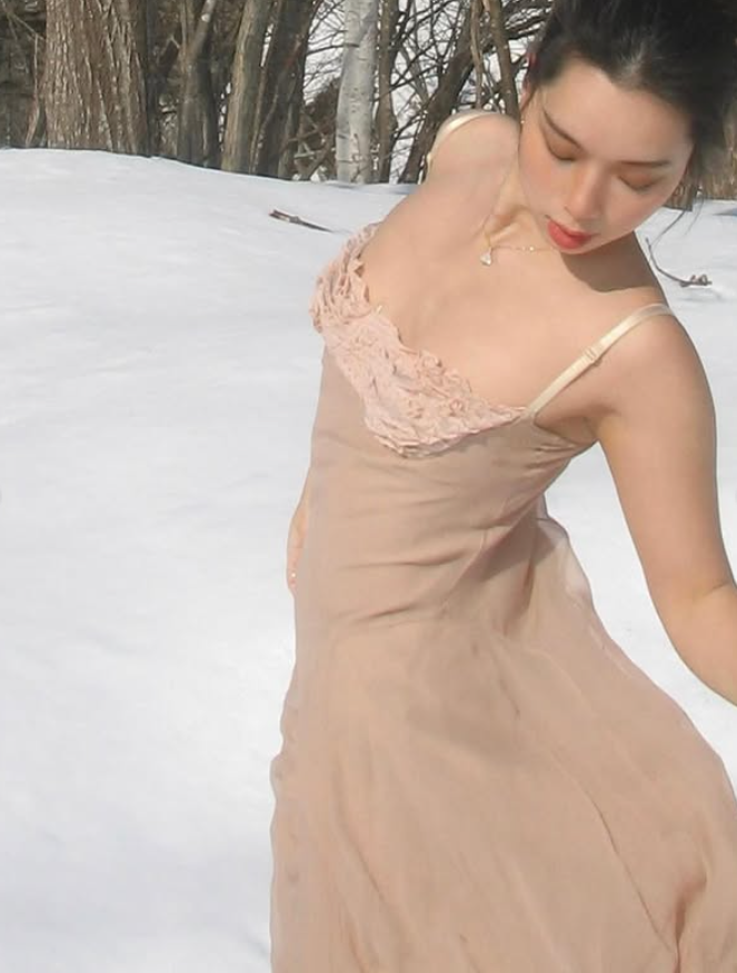 Khaki A Line Spaghetti Straps Lace Chiffon Prom Dress Evening Dress DP4018