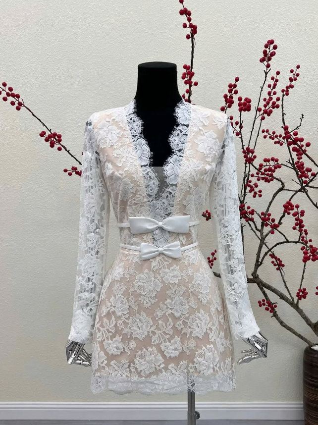 Sexy A Line V Neck Long Sleeve Lace Short Homecoming Dress Evening Dress DP1568