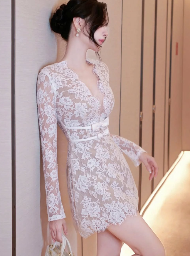 Sexy A Line V Neck Long Sleeve Lace Short Homecoming Dress Evening Dress DP1568