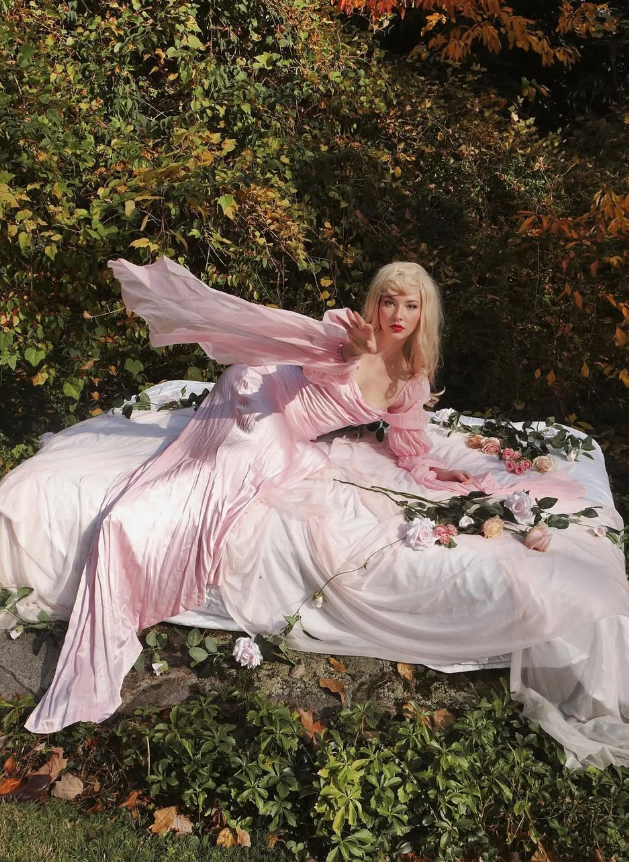 Sleeping Beauty A Line Long Sleeve Pink Chiffon Satin Prom Dress 18th Birthday Dress DP3385