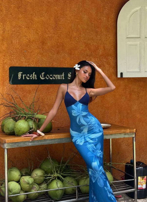 Elegant Blue Lily Print Sheath Chiffon Long Evening Party Dress Date Dress DP2991