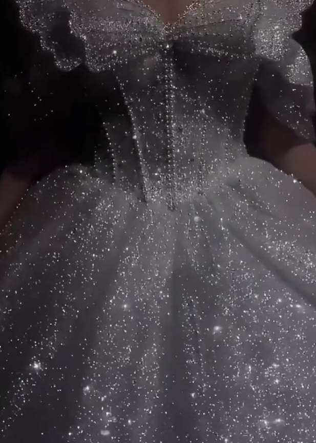 Stunning Ball Gown Strapless Beaded Sequin Prom Dress Wedding Dress with Butterfly DP3961