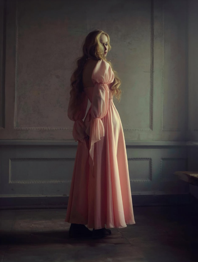 Princess Pink A Line Long Sleeve Chiffon Long Prom Dress Evening Dress DP2802