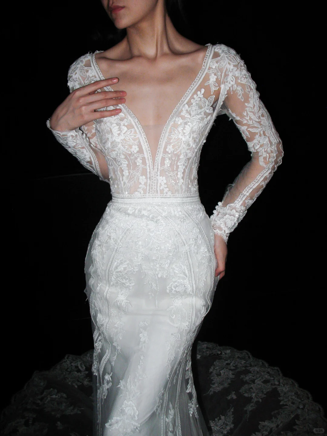 Elegant Mermaid Long Sleeve V Neck Lace Tulle Long Train Wedding Dress DP6366