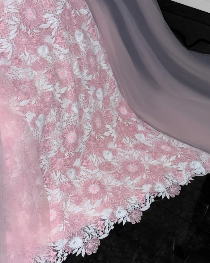 Pink Princess A Line Long Sleeve Organza Lace Prom Dress Birthday Dress Party Dress DP3087