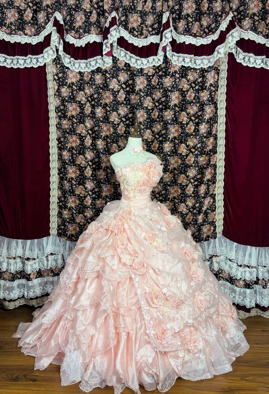 Vintage Princess Light Pink Ball Gown Floral Layered Organza Prom Dress Sweet 16 Dress DP5653