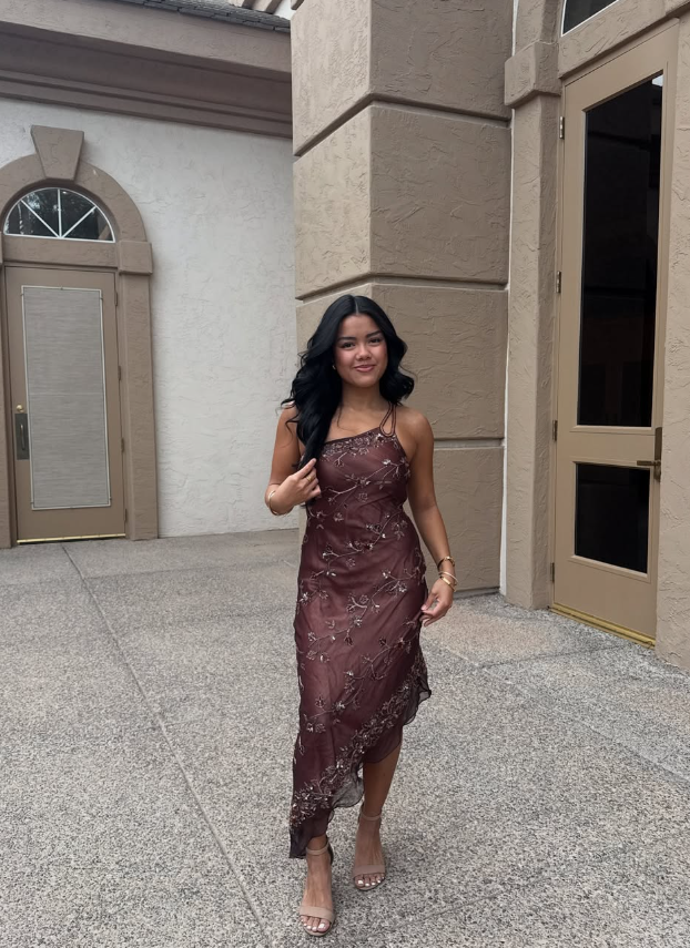 Retro Brown Exquisite Beaded Sheath One Shoulder Homecoming Prom Dress Date Dress DP3055