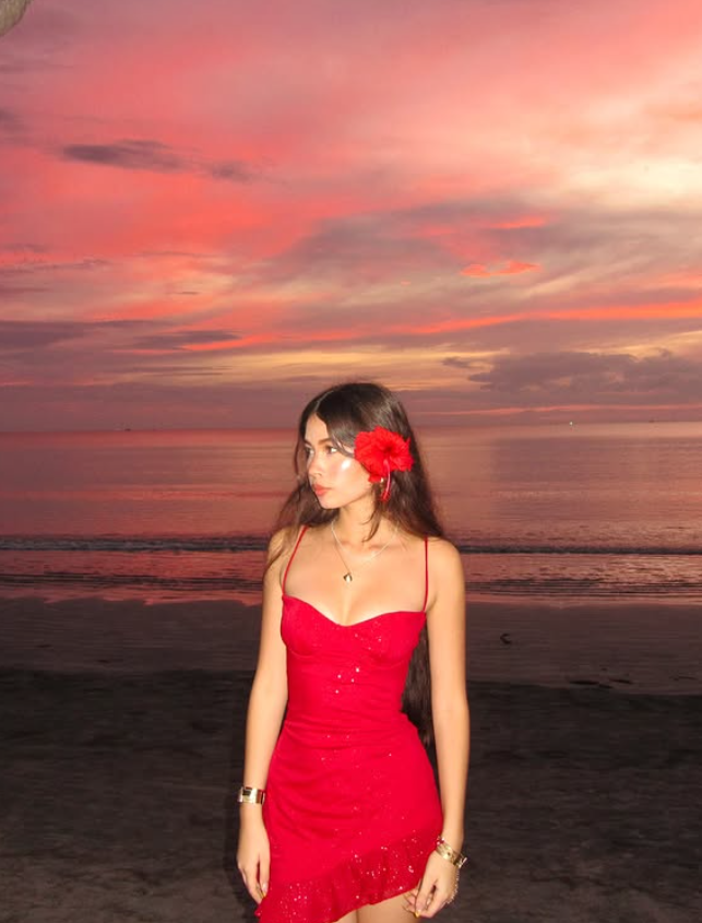 Red A Line Spaghetti Strap Sequin Tulle Short Homecoming Dress Vacation Dress DP3988