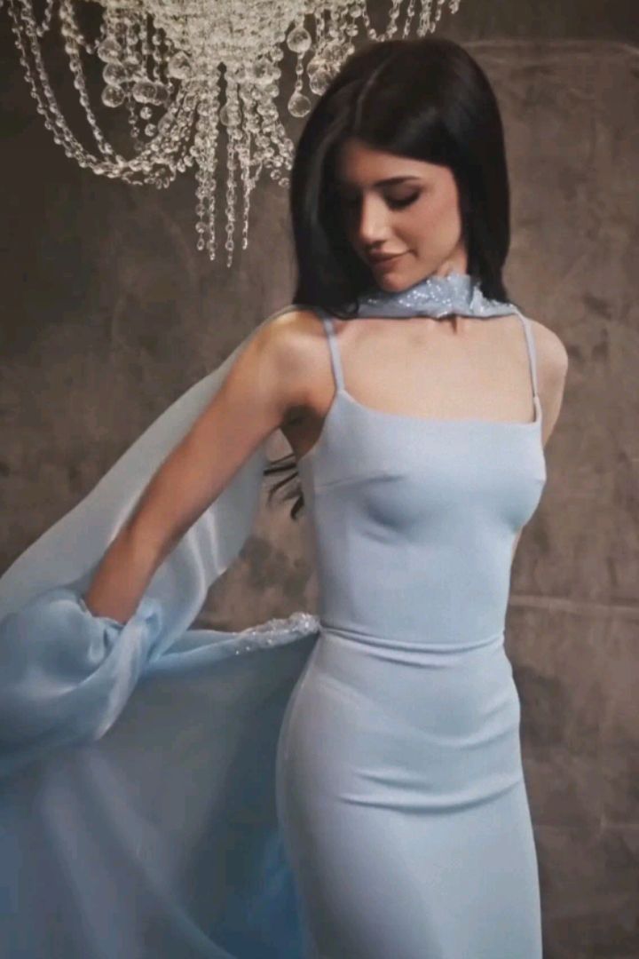 Baby Blue Sheath Spaghetti Strap Organza Satin Prom Dress Party Dress DP4203