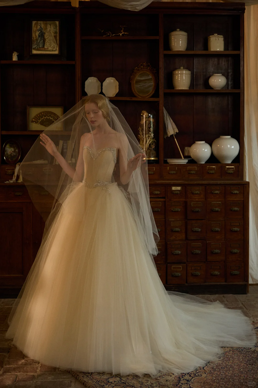 Gentle Ball Gown Sweetheart Neck Exquisite Beaded Tulle Long Prom Dress Wedding Dress DP3924