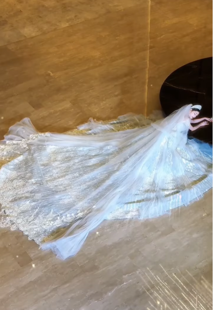 Dreamy Ball Gown Appliques Beaded Pleated Unique Tulle Wedding Dress DP5050