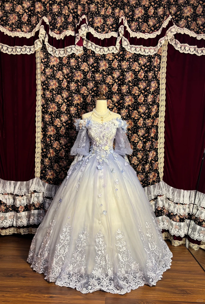 Vintage Lilac Ombre Ball Gown Long Sleeve Appliques Tulle Prom Dress Sweet 16 Dress DP5659