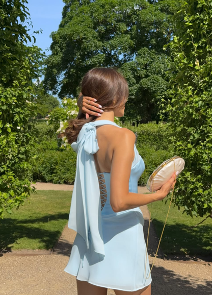 Baby Blue A Line Halter Satin Chiffon Backless Short Homecoming Dress Outfits DP6156