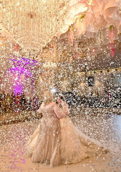 Champagne Exquisite Embroidery Puff Tulle Ball Gown Sweet 16 Dress Quinceanera Dress Wedding Dress DP3028