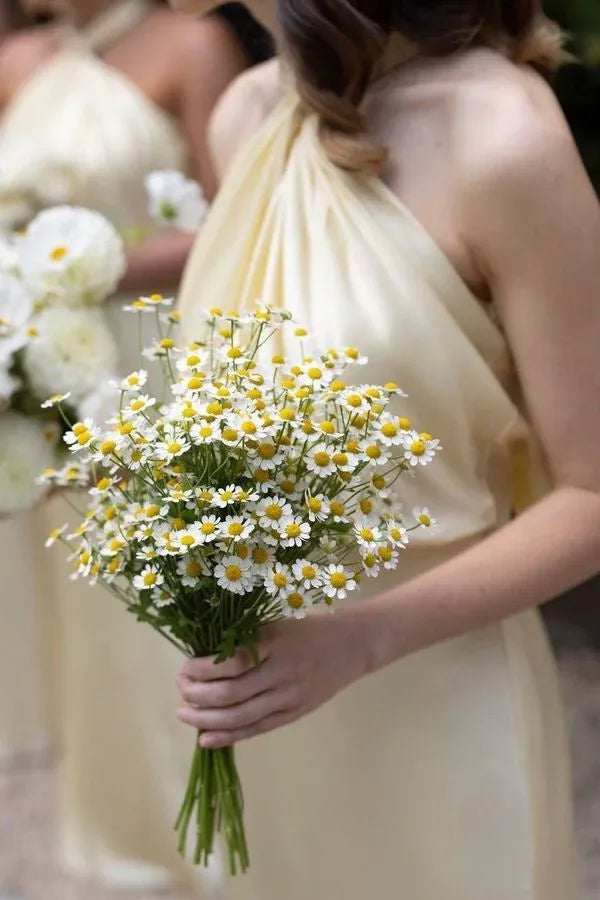 Yellow Halter Sheath Long Bridesmaid Dress with Twist Knot DP5556