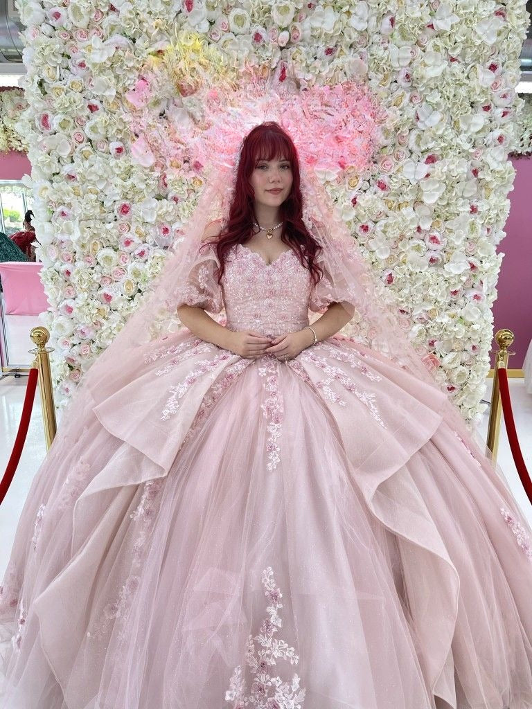 Pretty Pink Flower Appliques Sequin Puff Tulle Ball Gown Sweet 16 Dress Quinceanera Dress Wedding Dress DP3026