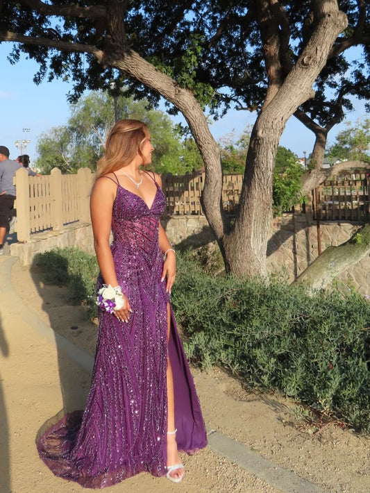 Purple A Line Spaghetti Strap Sequin Tulle Long Prom Dress DP8152