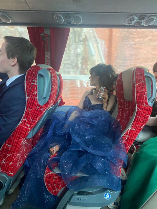 Navy Blue A Line Spaghetti Strap Beaded Sequin Organza Prom Dress DP4411