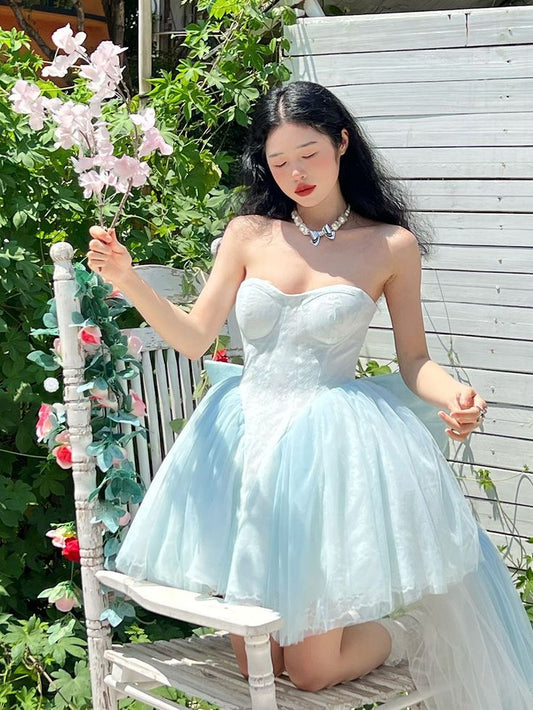 Baby Blue A Line Sweetheart Neck Lace Tulle Short Homecoming Dress Cocktail Dress DP2636