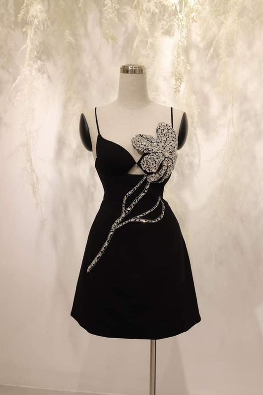 Gorgeous Short Birthday Outfits Black Homecoming Dress DP580