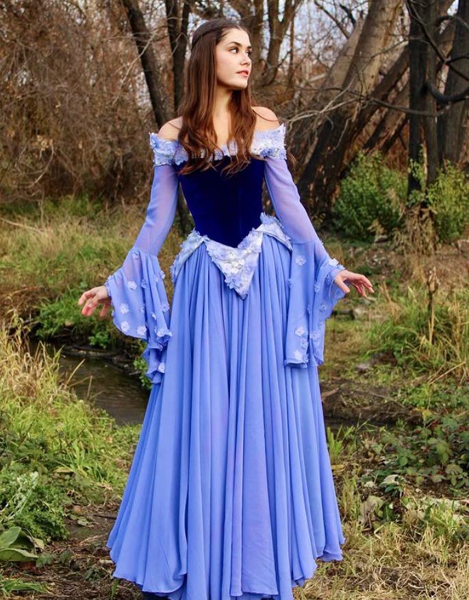 Stunning A Line Long Sleeve Purple Appliques Velvet Chiffon Prom Dress DP4431