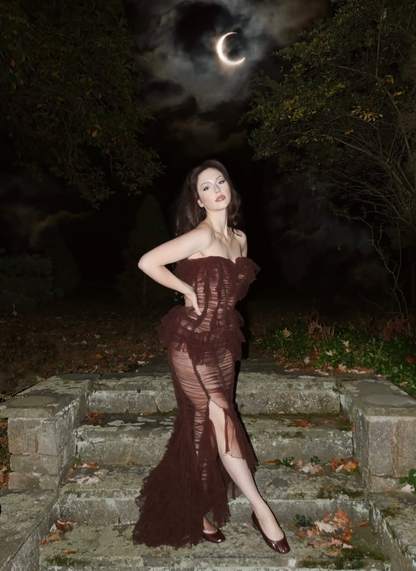 Sexy Brown Sheath Sweetheart Neck Layered Tulle Long Prom Dress DP4923