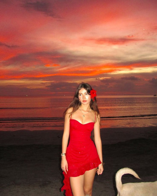 Red A Line Spaghetti Strap Sequin Tulle Short Homecoming Dress Vacation Dress DP3988