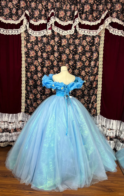 Cinderella Ball Gown Off the Shoulder Applique Organza Tulle Prom Dress Party Dress DP3175