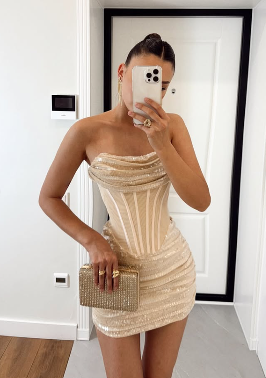Sexy Light Champagne Sheath Strapless Corset Tulle Sequin Short Homecoming Dress Cocktail Dress DP3194