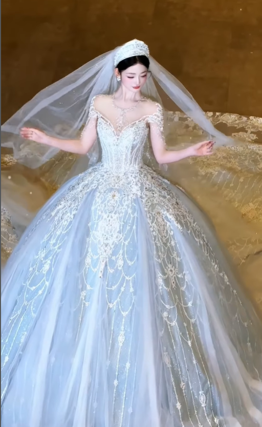 Dreamy Ball Gown Appliques Beaded Pleated Unique Tulle Wedding Dress DP5050