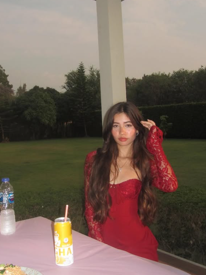 Red A Line Long Sleeve Lace Satin Short Homecoming Dress Date Dress DP3986
