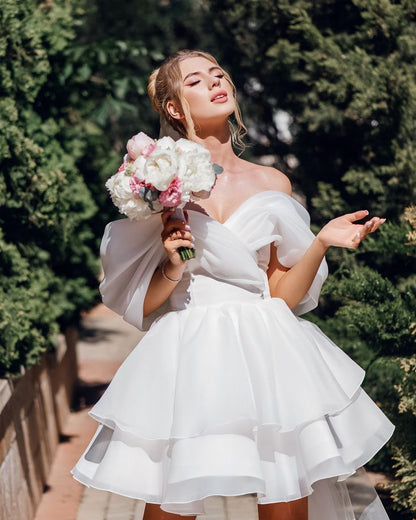 Baby Blue Pleated Gentle New Organza Short Homecoming Dress Cocktail Dress DP2931