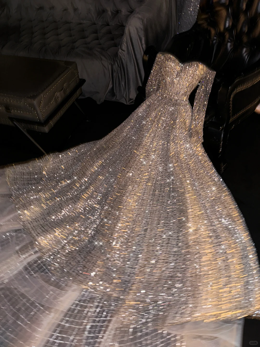 Shiny A Line Long Sleeve Silver Sequin Long Prom Dress Evening Dress DP2461